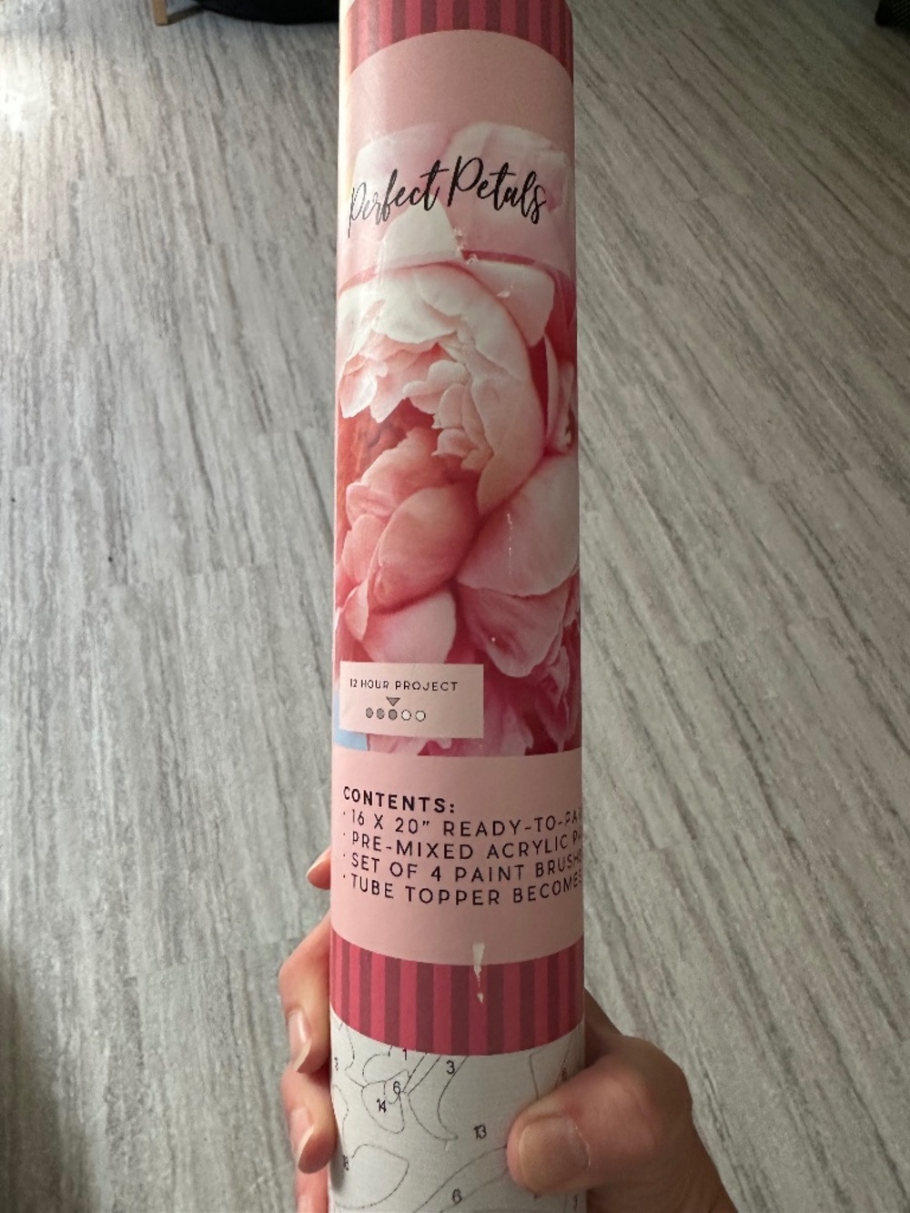 Pink Picasso Paint By Numbers Kit Perfect Petals Pink Peonies
